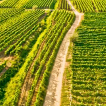 4* Posta / Butiga Couples Only * Vrbnik (Primorje-Gorski Kotar)