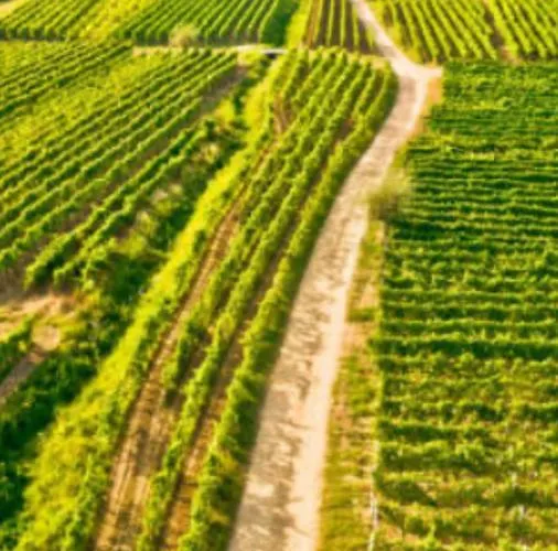 4* Posta / Butiga Couples Only * 瓦比尼科