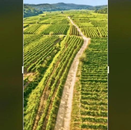 公寓 4* Posta / Butiga Couples Only